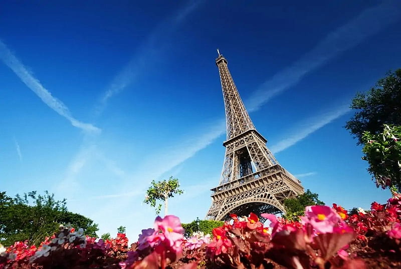 Sunny Morning in Paris, flowers, spring, france, eiffel tower, HD wallpaper