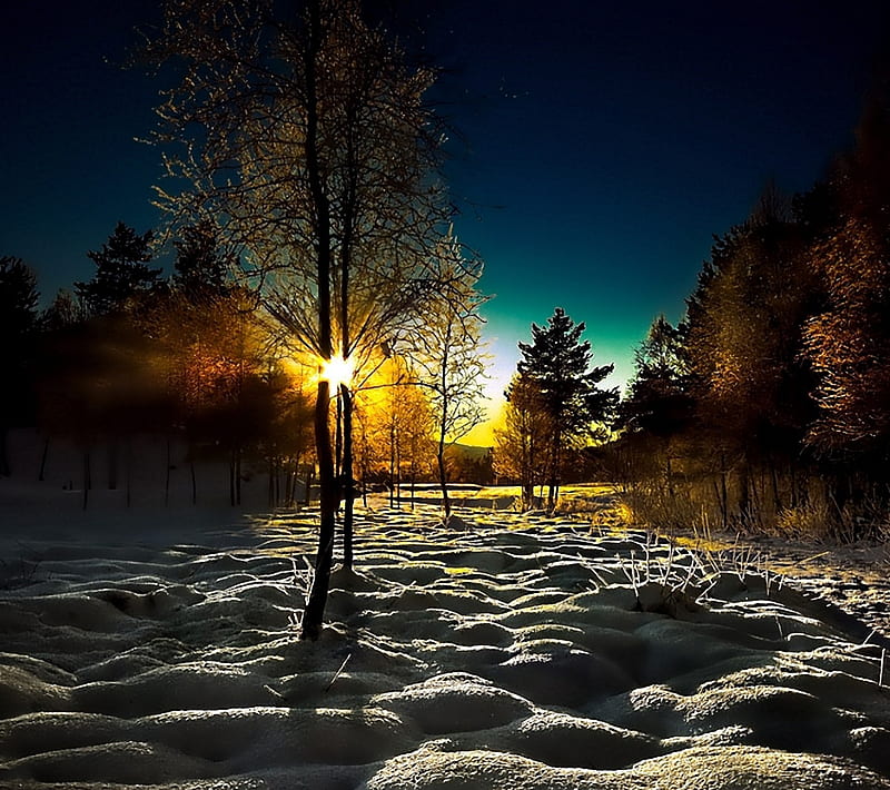 SUNRISE, morning, snow, sun, tree, winter, HD wallpaper
