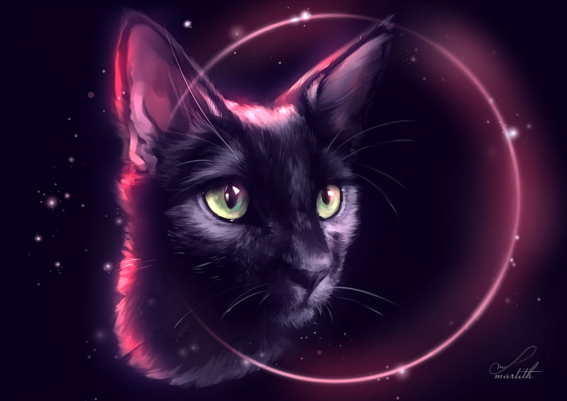 Cat Eclipse, cat, artist, artwork, digital-art, HD wallpaper