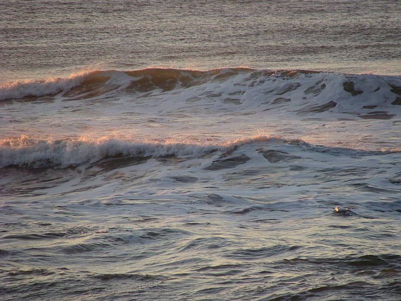 sunrise on the waves, sunrise, low tide at sunrise, gentle glow, sun-kissed waves, HD wallpaper