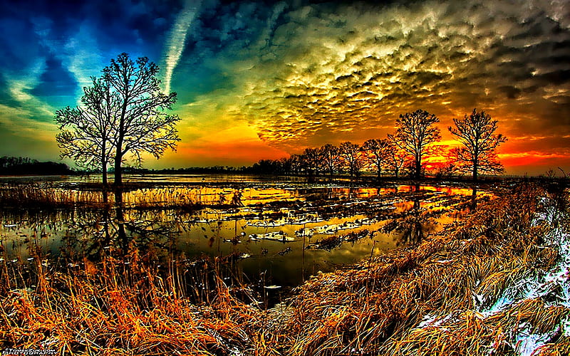 SUNSET CLOUDS, forest, sunset, clouds, sky, swamp, HD wallpaper
