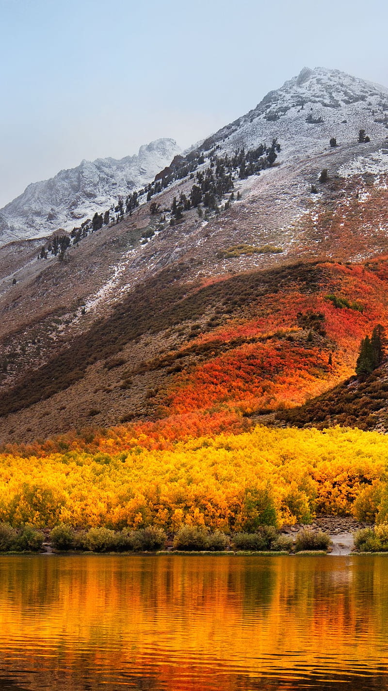 Download A View of the High Sierra Wallpaper  Wallpaperscom