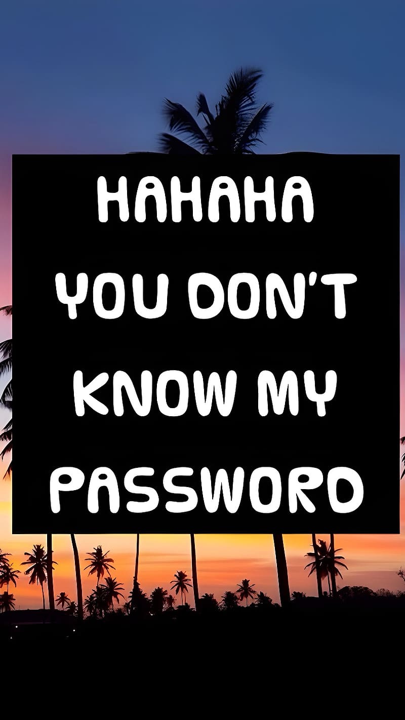 Haha You Don't Know My Password, Sunset Background, trees, HD phone wallpaper
