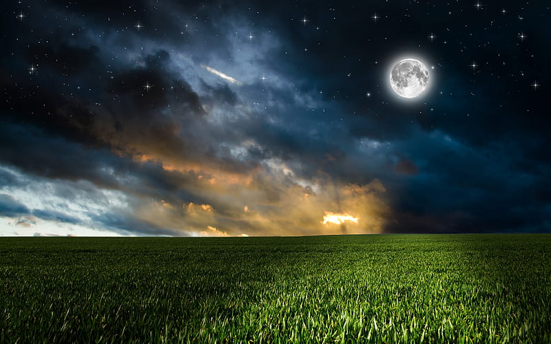 Moonlight, stars, cloud, moon, grass, sky, moon, green, summer, field, landscape, night, HD wallpaper