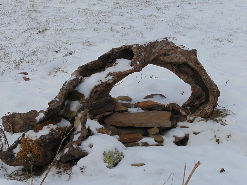 Driftwood in Snow, driftwood, snow, winter, wood, HD wallpaper