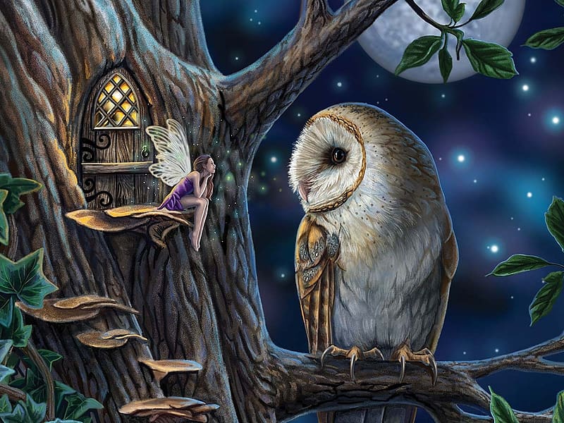 night of the owl, fairy, owl, fantasy, tree, speaking, HD wallpaper