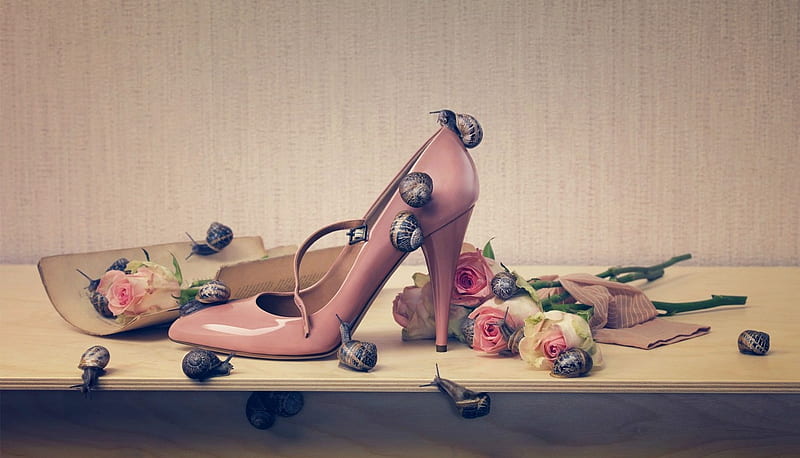 Still life, snail, rose, flower, shoe, pink, dan escobar, HD wallpaper