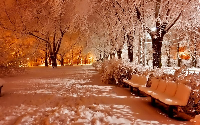 Winter Night, snow, park, road, trees, branches, alley, lights, winter, HD wallpaper