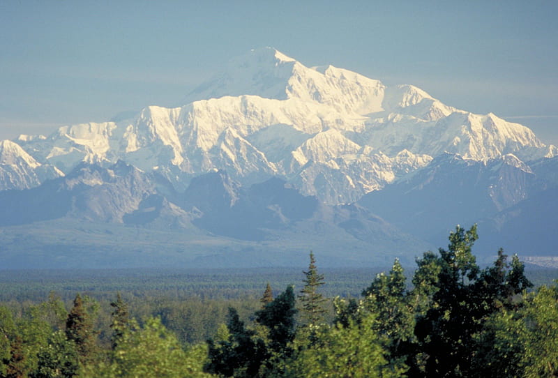 Denali Mountain, Denali National Park, Alaska, forest, alaska, national, park, trees, denali, sky, mountain, snow, nature, white, HD wallpaper