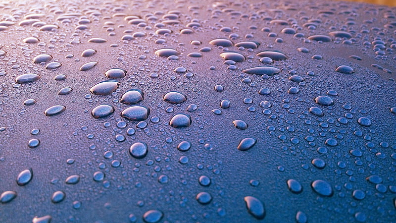 water drops, surface, reflection, shiny, Others, HD wallpaper