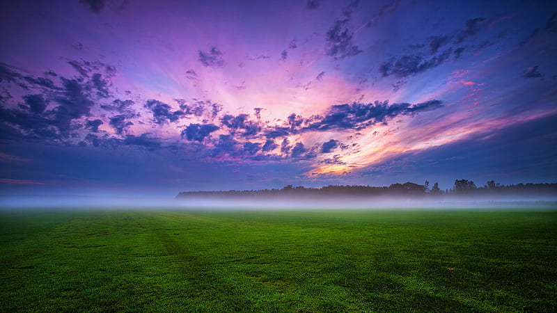 Cloud Field Fog Grass Landscape , field, fog, clouds, landscape, nature, HD wallpaper