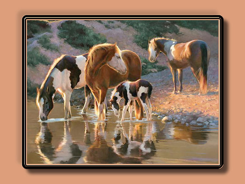 Night Cap - Horses F1, art, herd, equine, foal, creek, pinto, pond, water, painting, pony, drink, river, marris, HD wallpaper