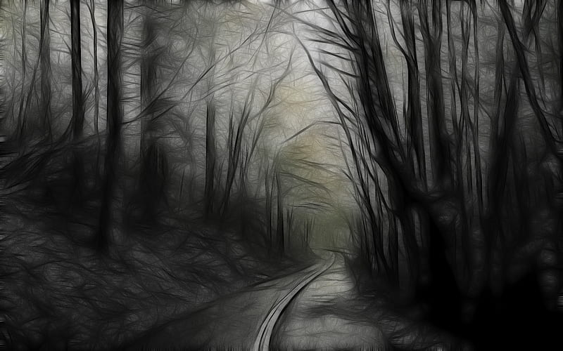 drawn forest, forest, black, trees, abstract, gothic, dark, drawing, gris, white, HD wallpaper