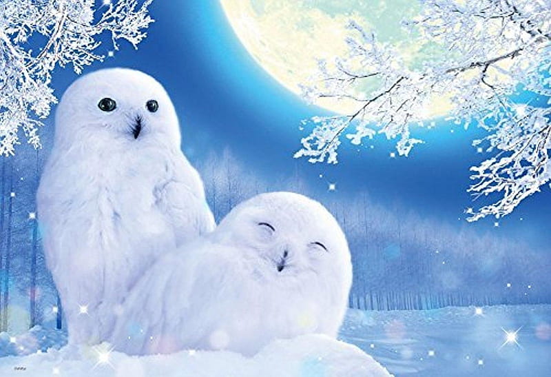 Snowy owls under moonlight, owl, moon, luminos, pasare, snowy, winter, fantasy, moon, bird, white, couple, blue, HD wallpaper