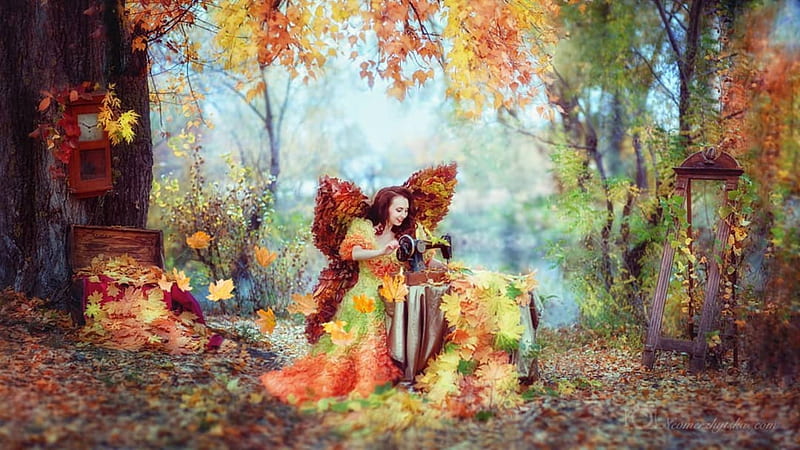 Autumn work, leaves, tree, woman, Autumn, HD wallpaper