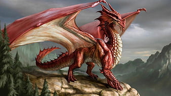 HD red dragon fantasy wallpapers | Peakpx