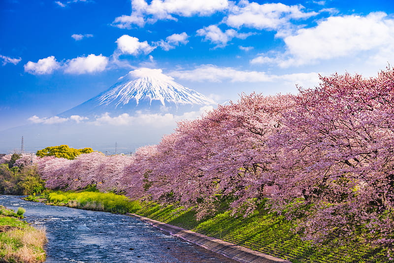 Volcanoes, Mount Fuji, Japan, HD wallpaper