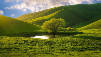 Beautiful Greenery Farm And Landscape View Of White Covered Mountain In  Blue Sky Background HD Bing Wallpapers, HD Wallpapers