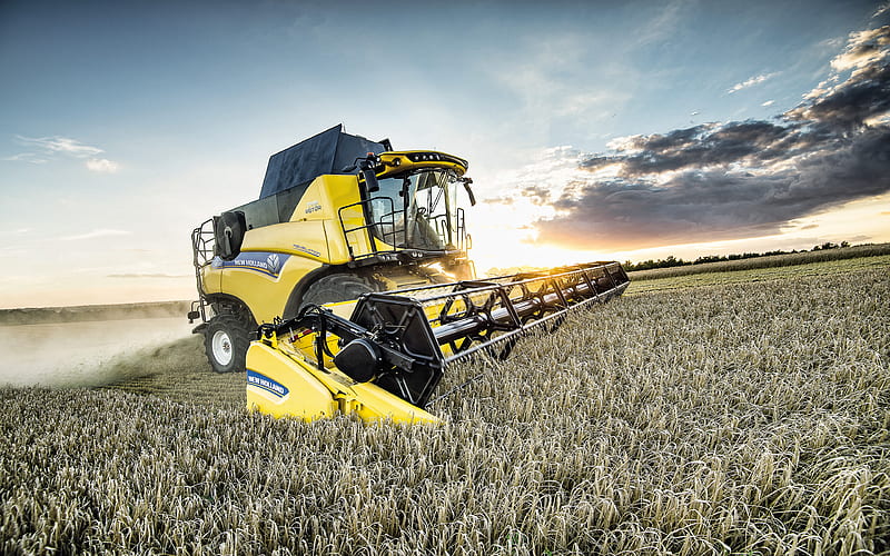 New Holland CR8 80 Relevation wheat harvest, 2019 combines​, agricultural machinery, R, grain harvesting, combine harvester, Combine​ in the field, agriculture, New Holland Agriculture, yellow combine​, HD wallpaper