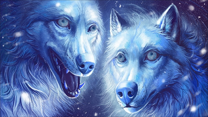 Wolves, fantasy, wolf, couple, lup, white, blue, HD wallpaper