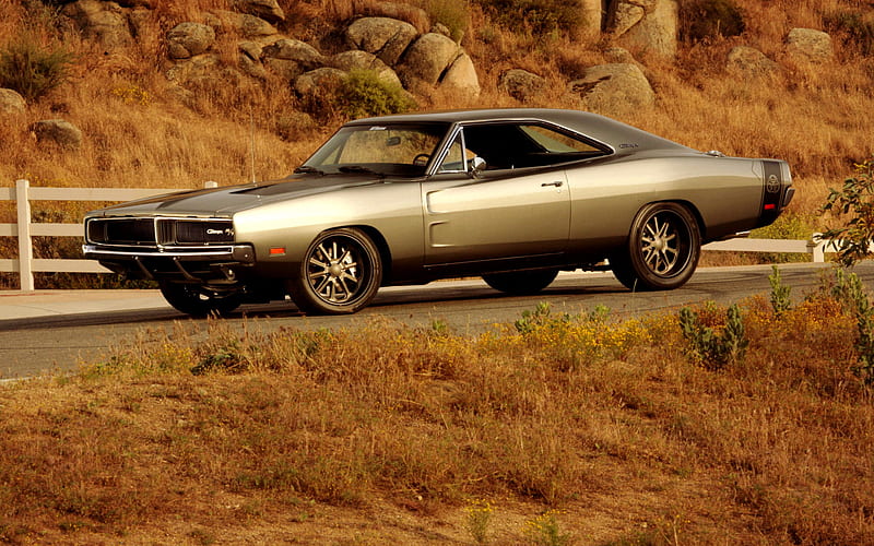 Dodge Charger, 1970, front view, retro cars, gray Charger 1970, american classic cars, Dodge, HD wallpaper