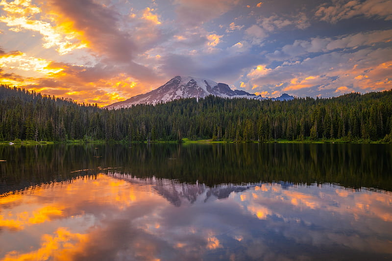 1920x1080px, 1080P free download | Mount Rainier at Sunset, forest ...