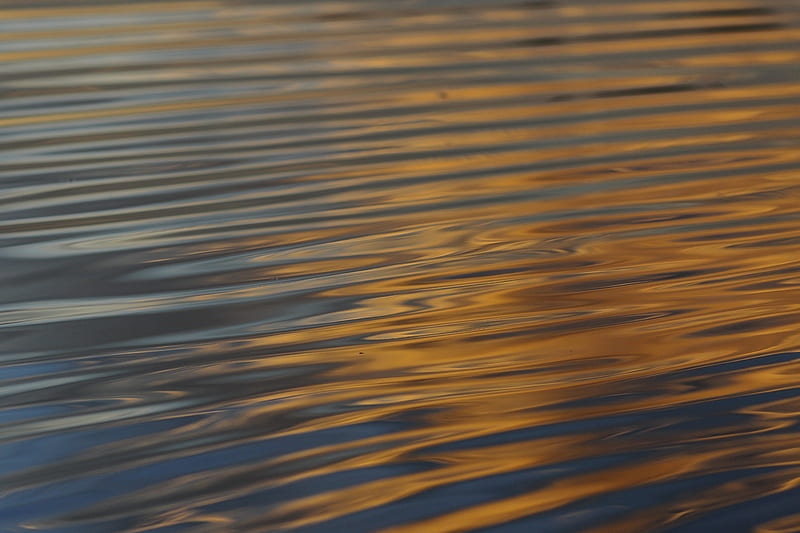 waves, ripples, water, surface, reflection, HD wallpaper