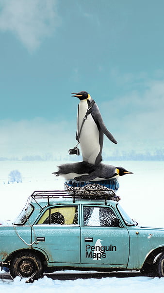 Penguins Ik Zedge Animals Art Blue Car Colours Comedy Mobile Random Hd Phone Wallpaper Peakpx - Blue Colour Wallpaper Zedge