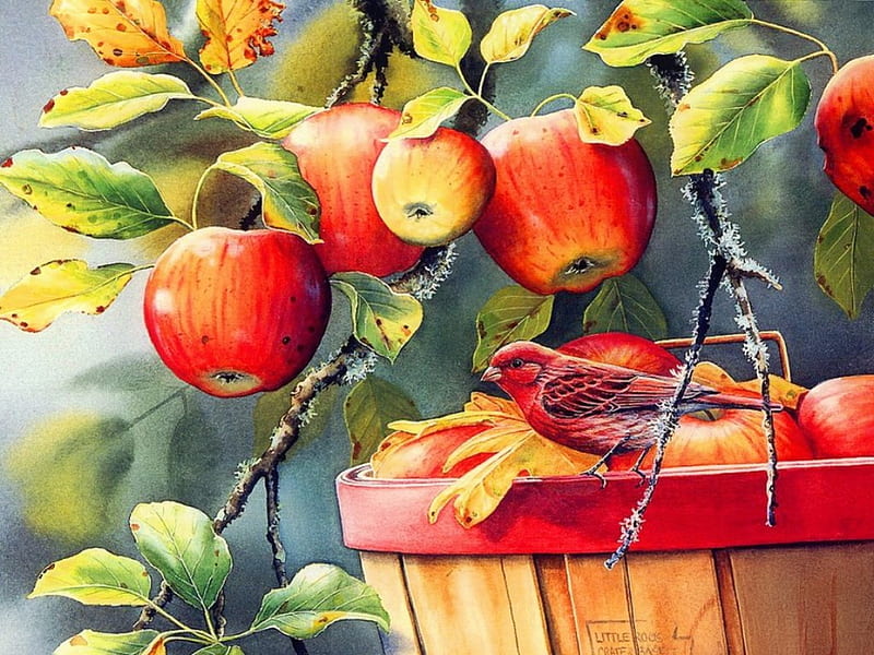 Apple harvest, birs, apple, art, harvest, bonito, finch, fruit, tree, leaves, painting, nature, HD wallpaper
