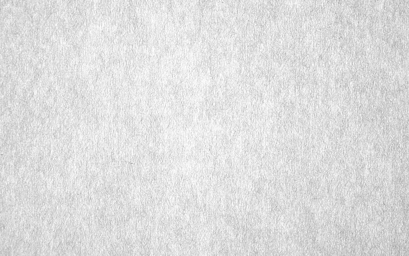 white paper texture, paper texture with ornament, white grunge background, HD wallpaper