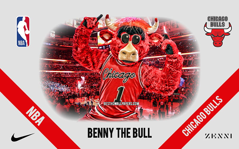 Benny the Bull, mascot, Chicago Bulls, NBA, portrait, USA, basketball, Benny, Chicago Bulls mascot, United Center, Chicago Bulls logo, HD wallpaper