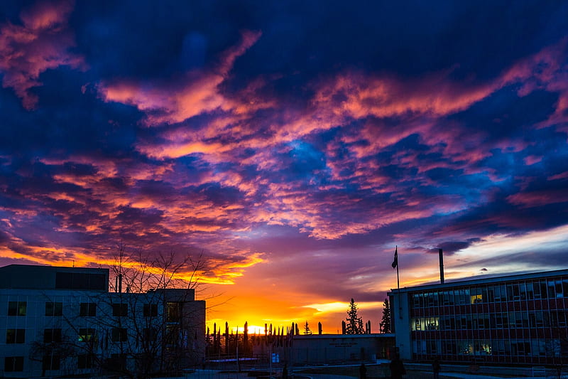 Sunset on Campus, Fairbanks, Alaska, university, houses, colors, clouds, sky, HD wallpaper