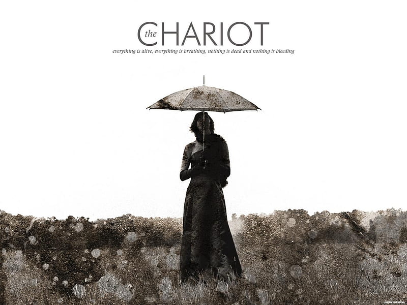 The Chariot, black and white, umbrella, everything is alive, HD wallpaper