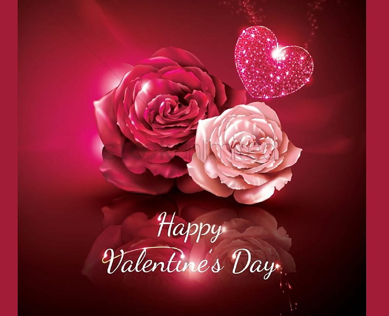 Happy Valentine's Day to all at DN, red background, greeting, Rose  collection, HD wallpaper | Peakpx