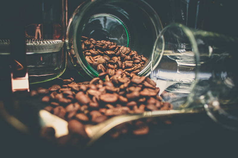 Coffee beans, black, jack, life, nestle, sad, short, vodka, water, HD wallpaper