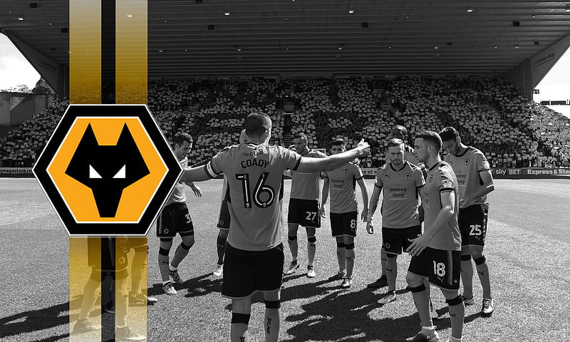 Team Spirit, fc, wolves fc, the wolves, molineux, english, out of darkness cometh light, football, wwfc, soccer, england, wolves football club, wolverhampton wanderers football club, gold and black screensaver, fwaw, wolverhampton wanderers fc, wolverhampton, wolf, wolves, wanderers, HD wallpaper