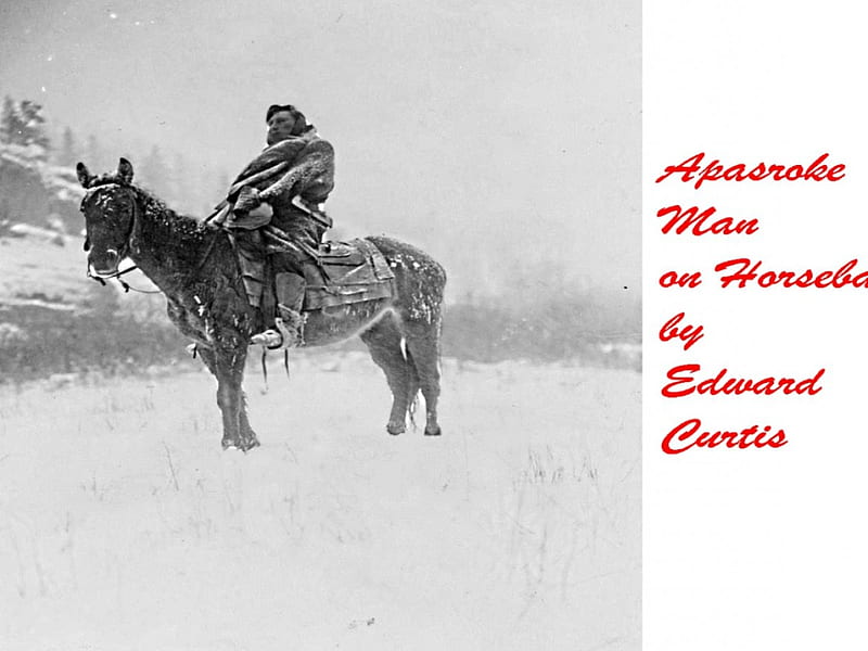 Apasroke Man on Horseback, scout, Native, Edward Curtis, series, HD wallpaper