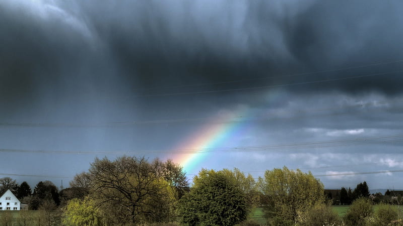 Rainbow through rain clouds, village, rainbow, electric lines, rain, trees,  clouds, HD wallpaper | Peakpx