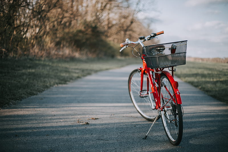 red bicycle on road near trees, HD wallpaper