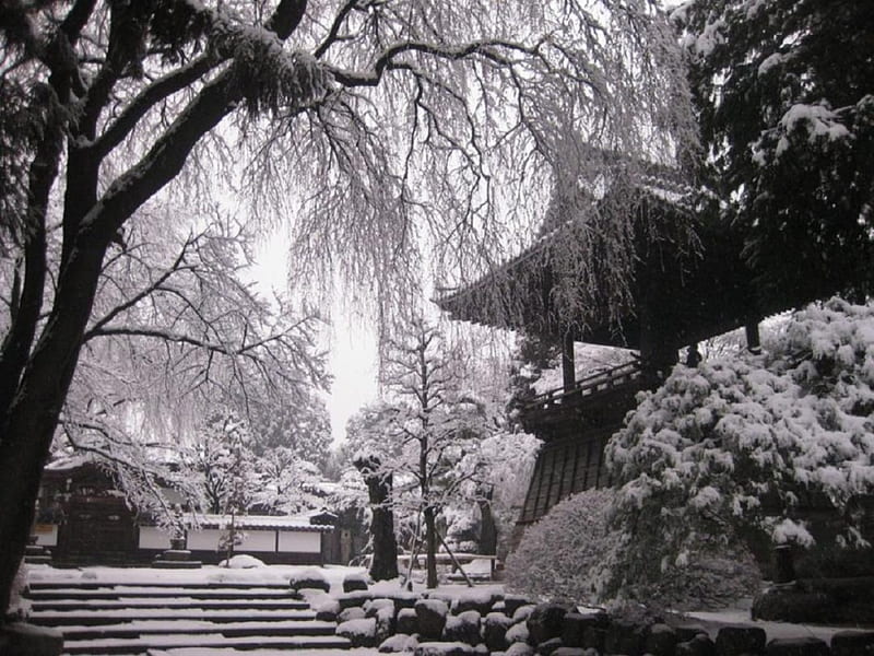 Iida City, snow, japan japanese, temple, garden, nature, winter, HD ...