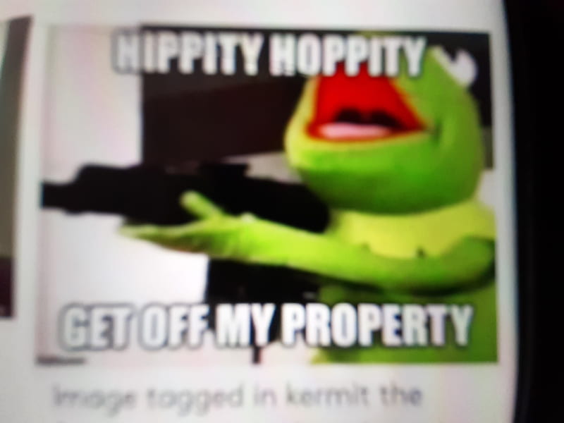 Hippity hoppity , kermit, meme, HD wallpaper