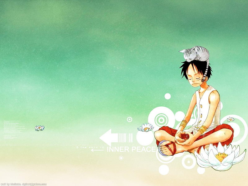 Inner Peace , cool, green, luffy, peace, cat, one piece, HD wallpaper