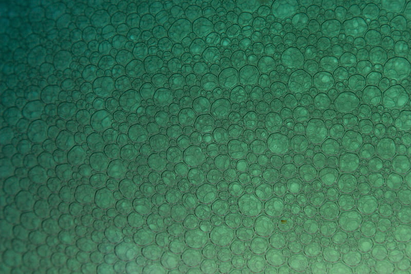 bubbles, particles, pattern, HD wallpaper