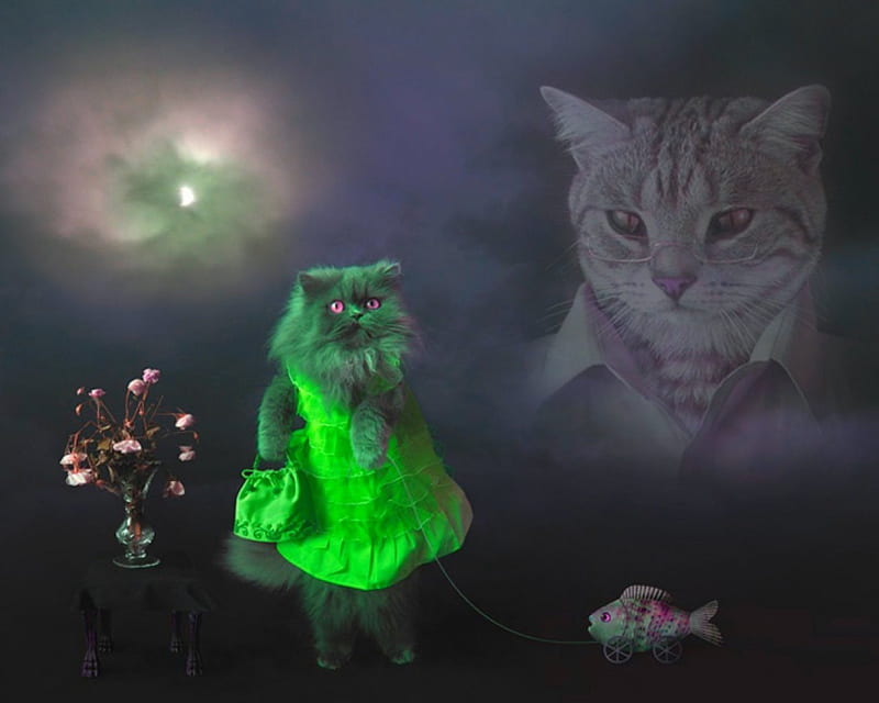 Cat dreams, art, green, fish, cat, animals, HD wallpaper