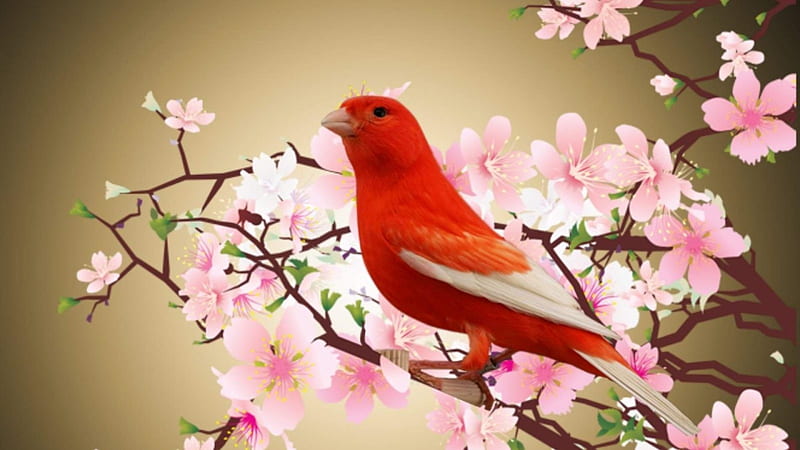 Beautiful Canary Bird, bird, flowers, spring, canary, branch, animal, HD wallpaper
