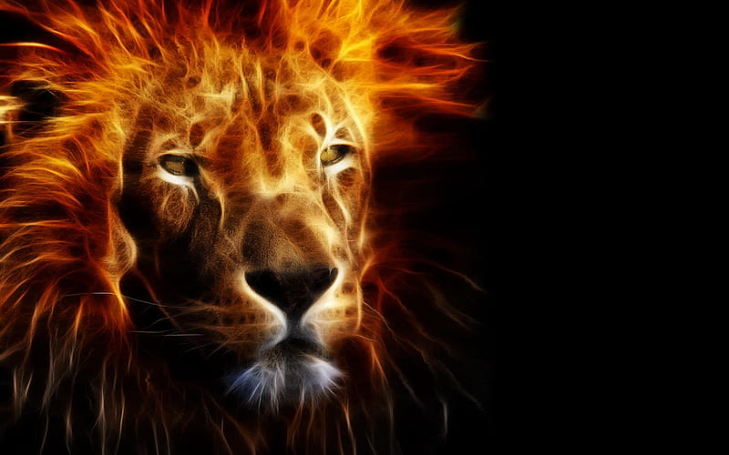 zodiac ~ Leo, fantasy, orange, leo, fractal, black, zodiac, lion, animal, HD wallpaper