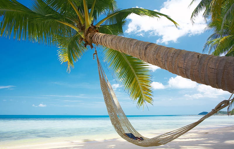 sand, sea, beach, summer, the sun, Palma, heat, vacation, glasses, hammock, book for , section природа, HD wallpaper