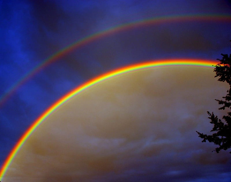 Rainbow, rainbows, nature, HD wallpaper