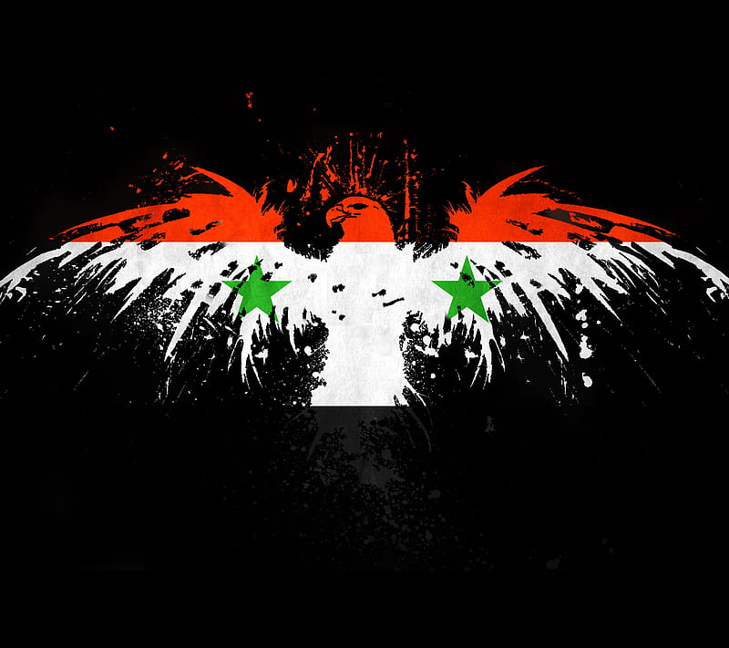 syria, black, flag syria, green, love, official, red, syrian, white, HD wallpaper