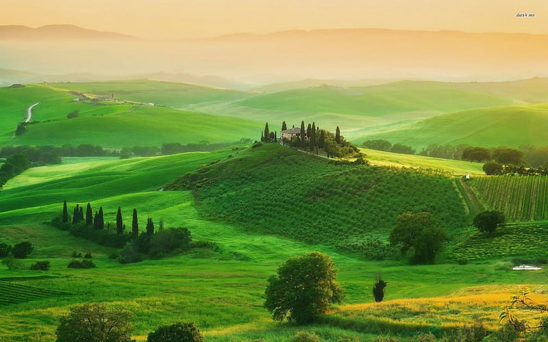 Tuscany in spring, tree, spring, tuscany, valley, italy, HD wallpaper ...